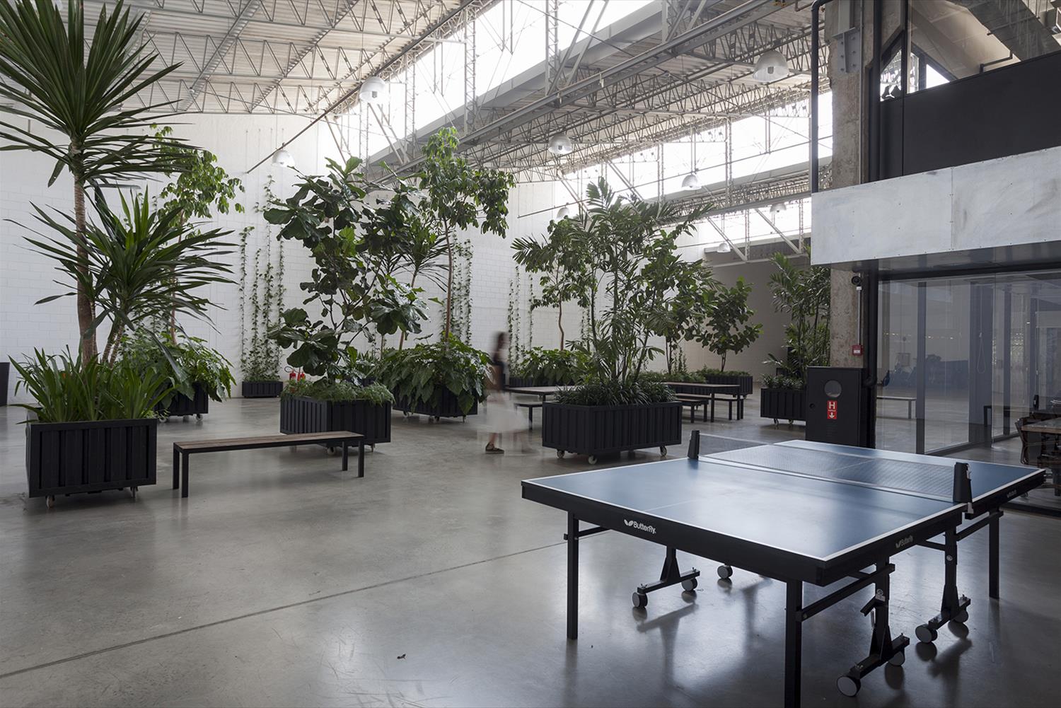 巴西 Paranoid 广告公司办公室-5