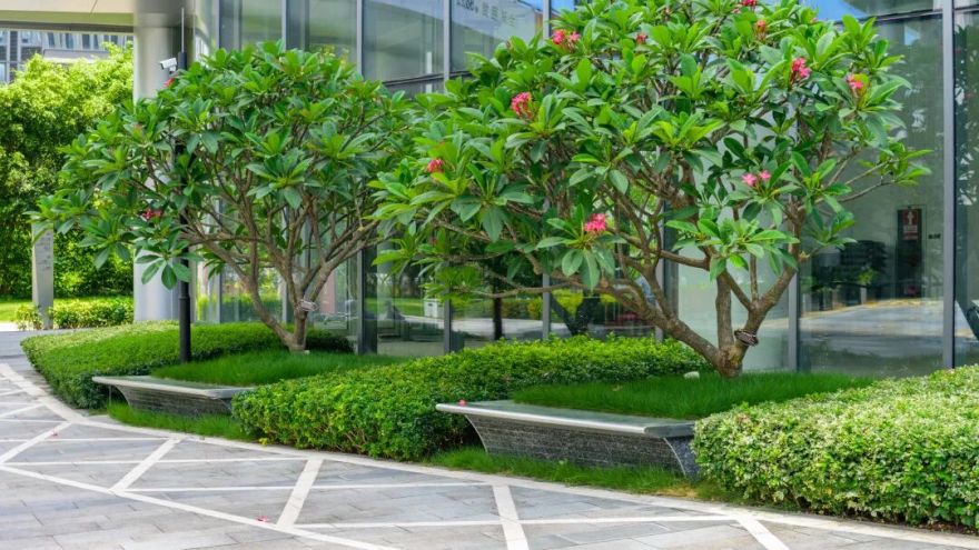 与城市共生,与自然共舞|前海中国国有资本风投大厦-49