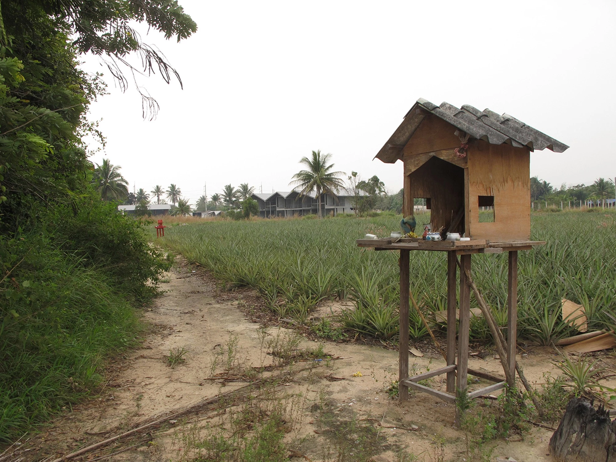 华欣田园风光度假胜地-13