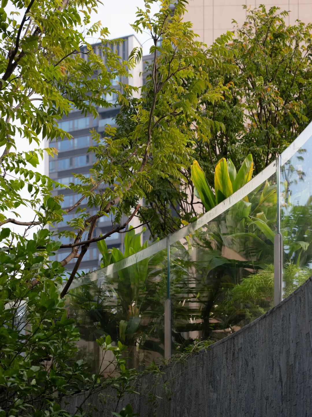 仁恒深圳公园世纪三期丨中国深圳丨TROP:terrains + open space-32