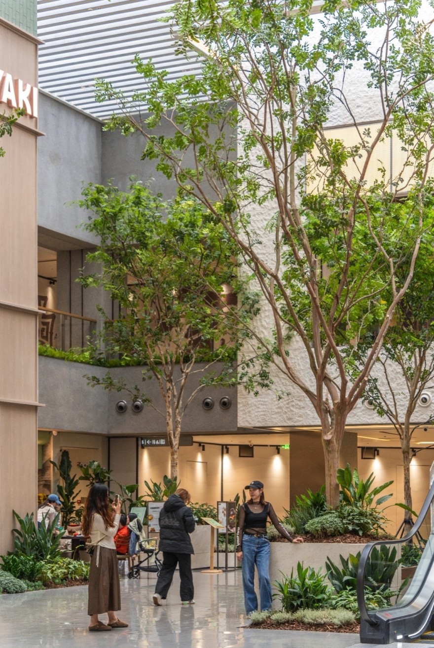 重庆龙湖北城天街B馆L4层室内景观营造丨中国湖北丨物候设计(重庆物候景观规划设计有限公司)-35