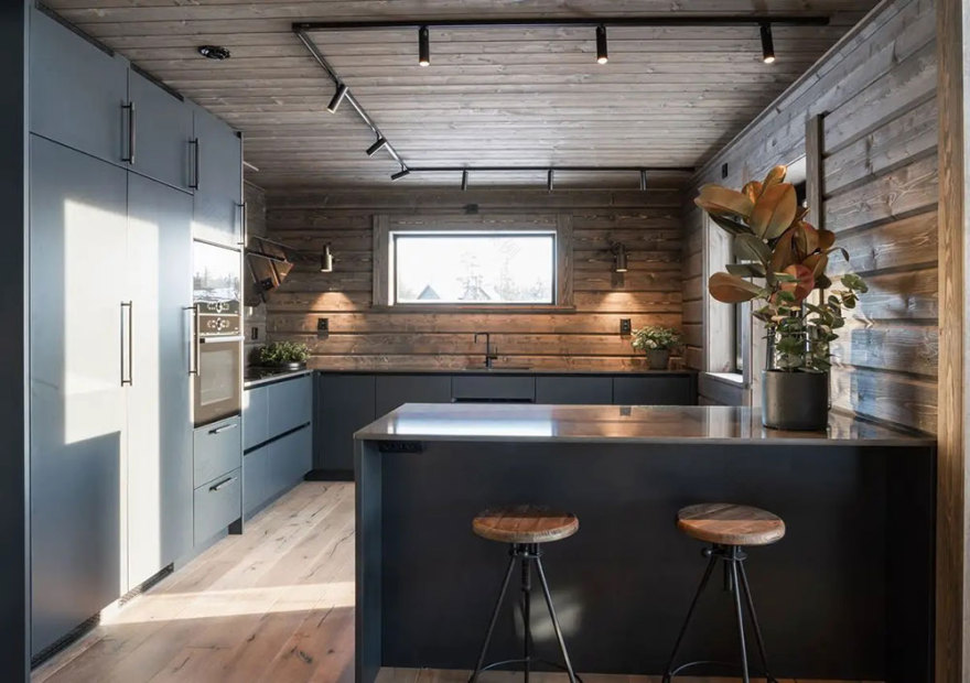 现代 Scandinavian 暗色调木屋设计-10