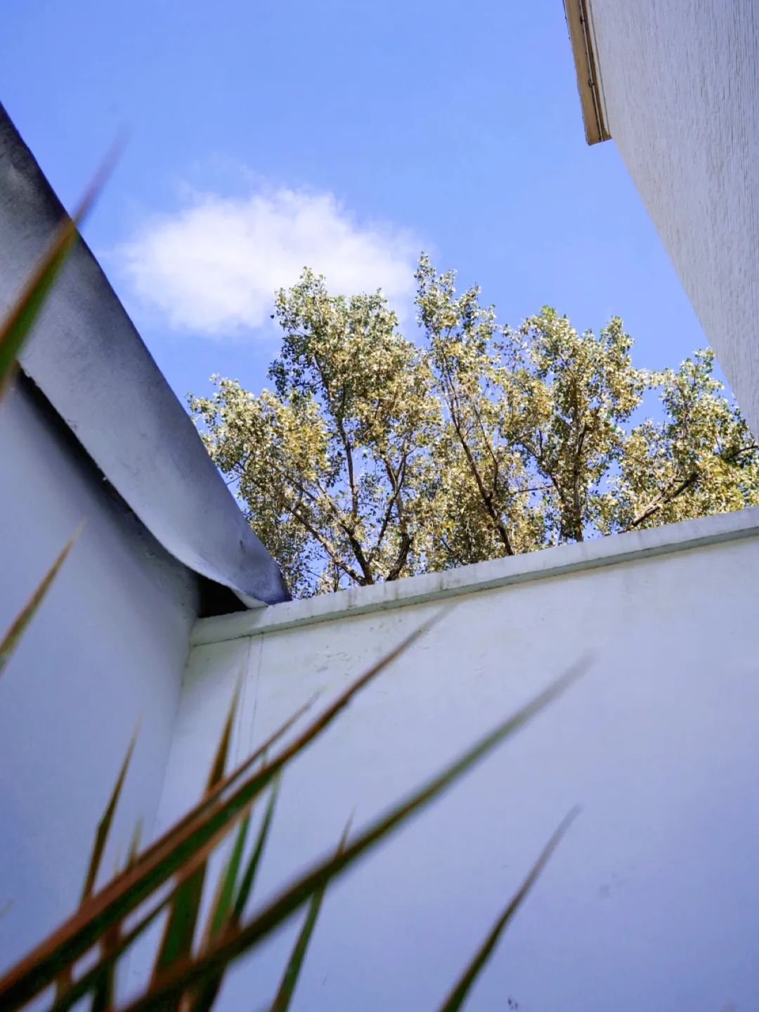 胡同里的家丨中国北京丨以太-12