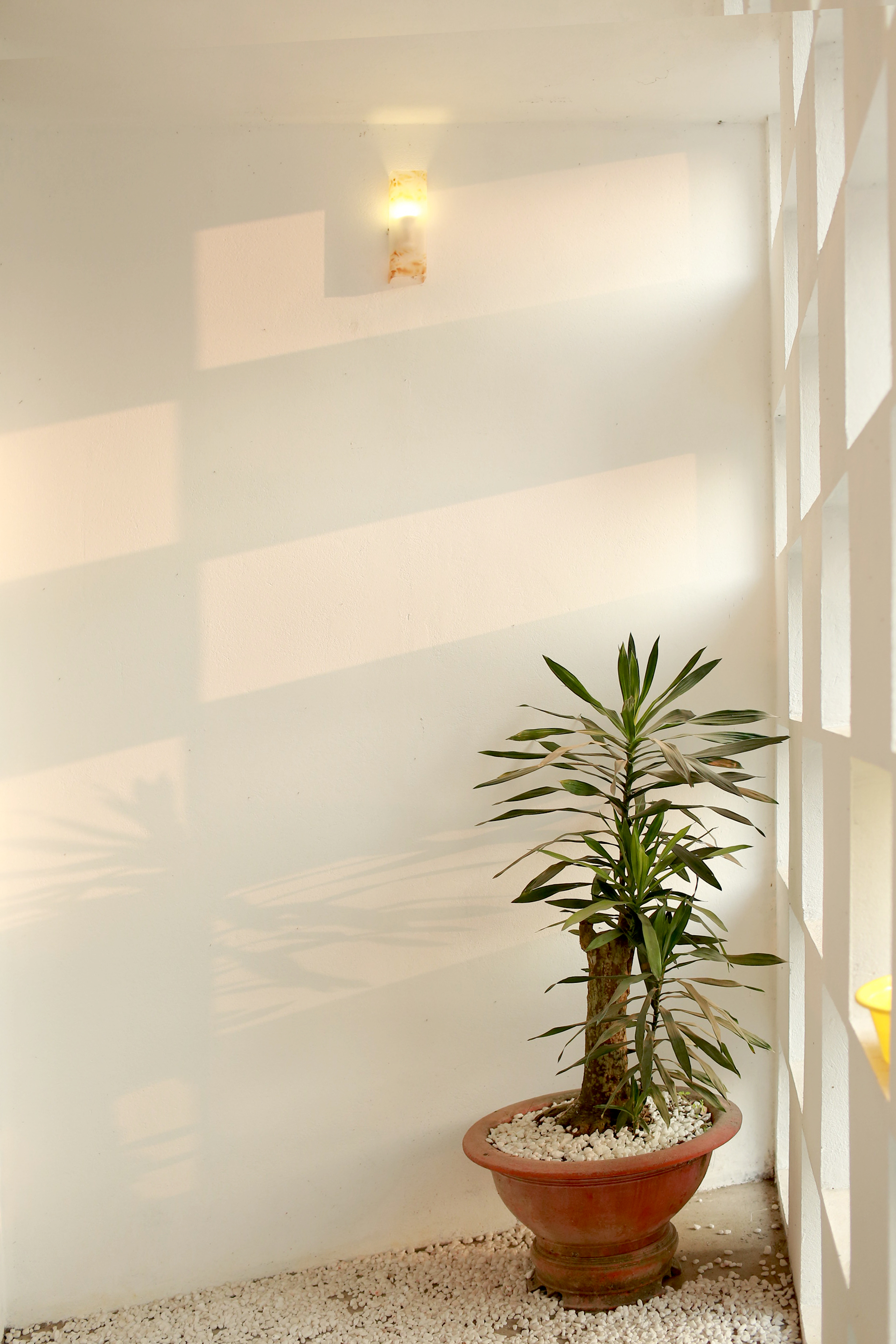 Caro house | NguyenHieu Architecture-26