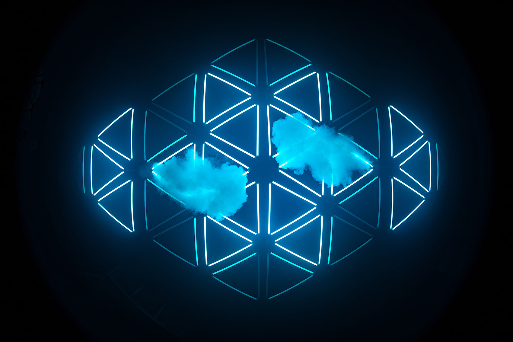 《暗物质2026  四季森林》展览丨德国丨Christopher Bauder + Chris Kuijten-81