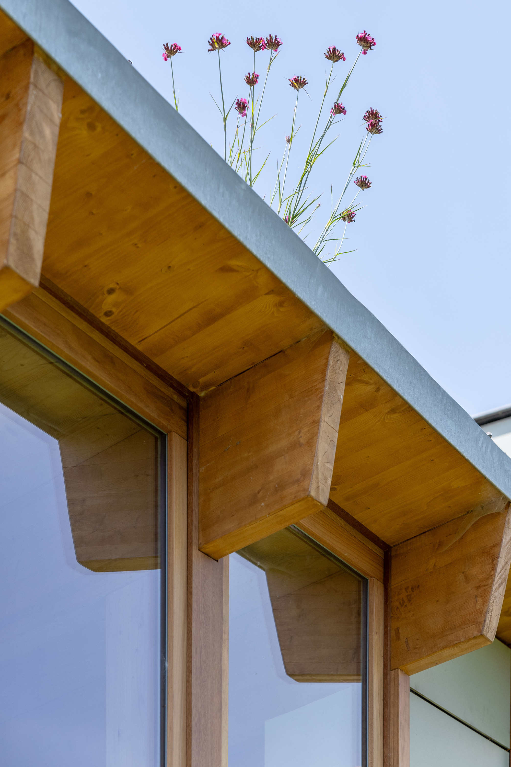 丨比利时丨Marge architecten-40