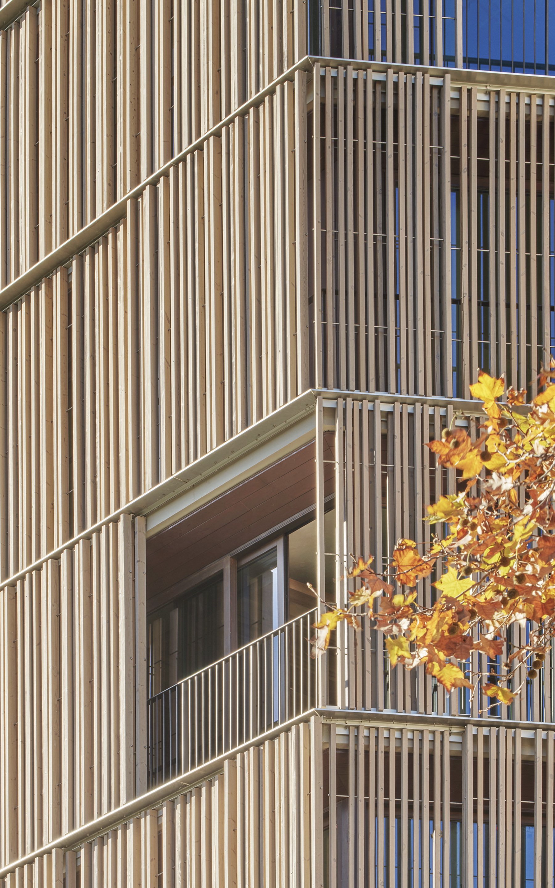 马略卡大道 15 号独立屋丨西班牙丨OHLAB-26