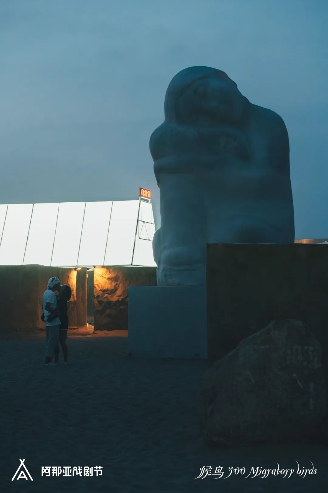 阿那亚戏剧节“候鸟沙城”丨马岩松-41