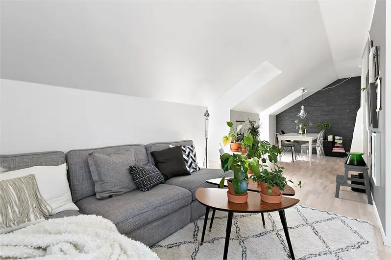 绿色植物的室内艺术展示-9