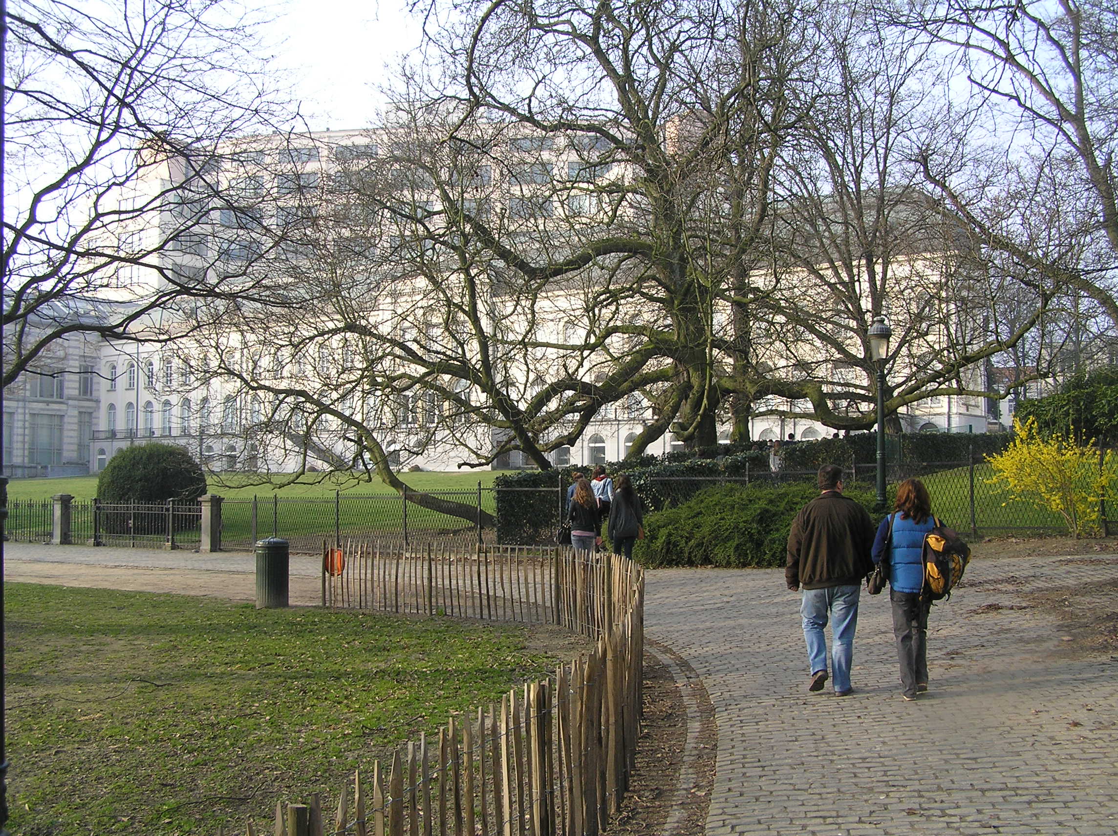 欧洲议会周边区域步行体验相关区域丨比利时-58