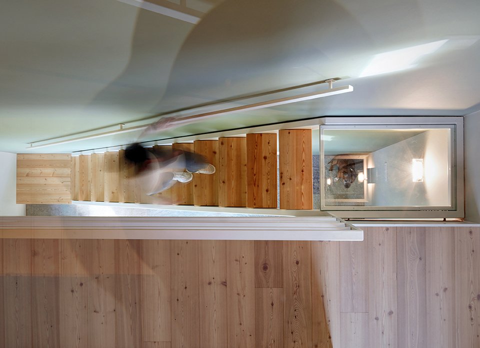 S.V住宅,意大利 / Rocco Borromini-18