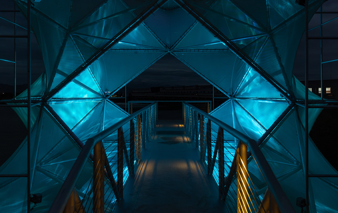 人造树 · 吕晓斌-8