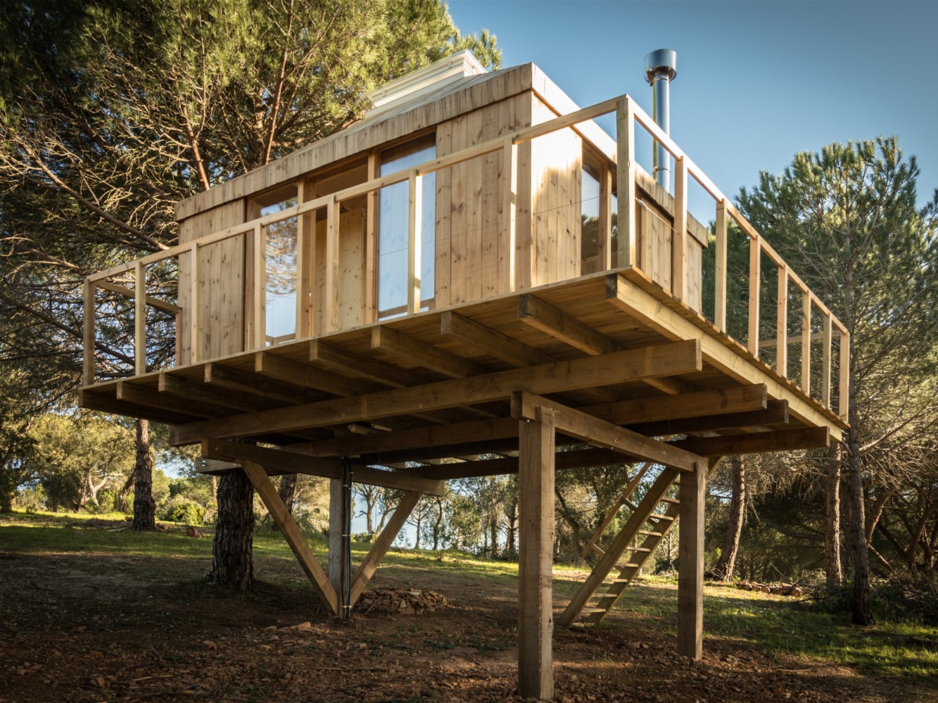 葡萄牙松树中筑巢树屋-4