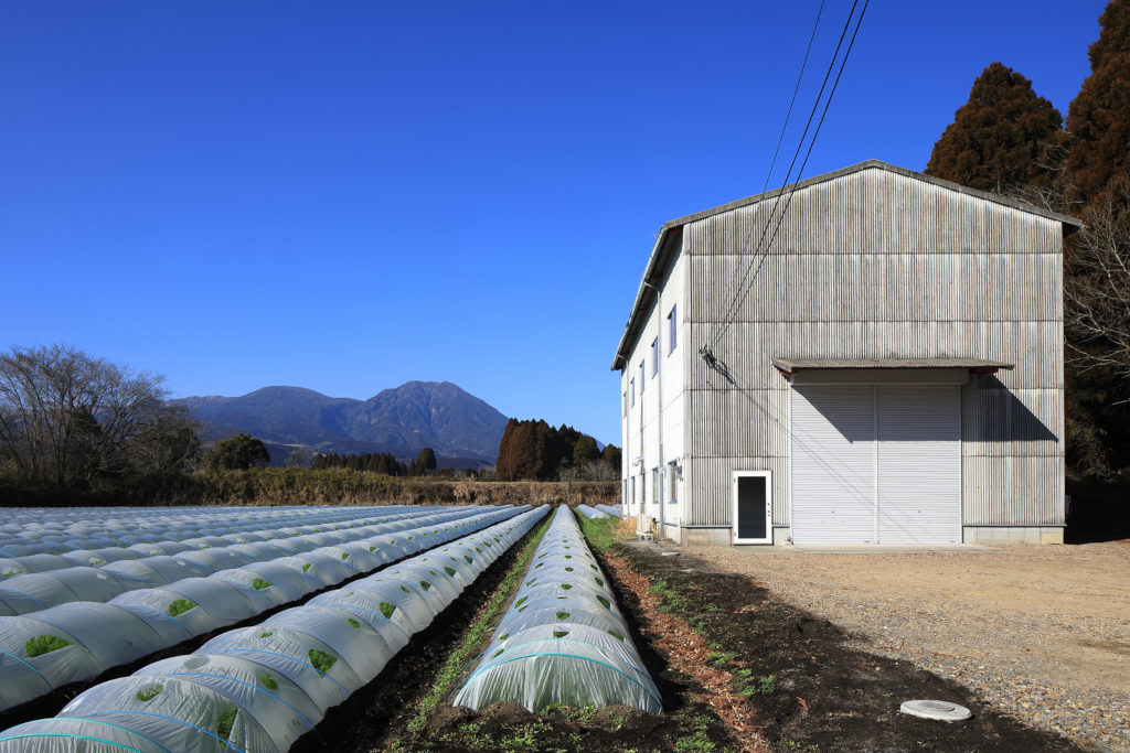 宫崎県西諸県郡高原町的咖啡厅（翻新）丨日本宫崎丨有限会社COGITE-42