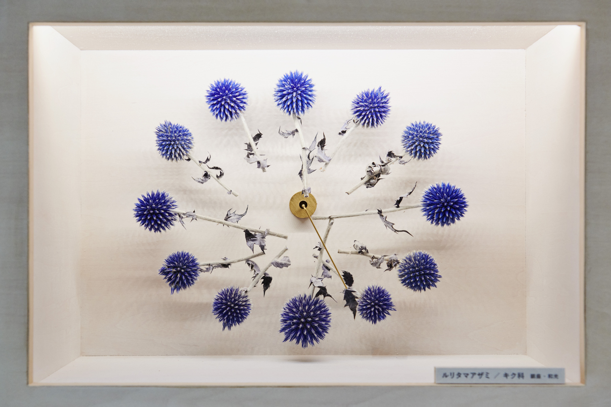 银座生态地图丨JapanTokyo丨Hakuten Corporation-33