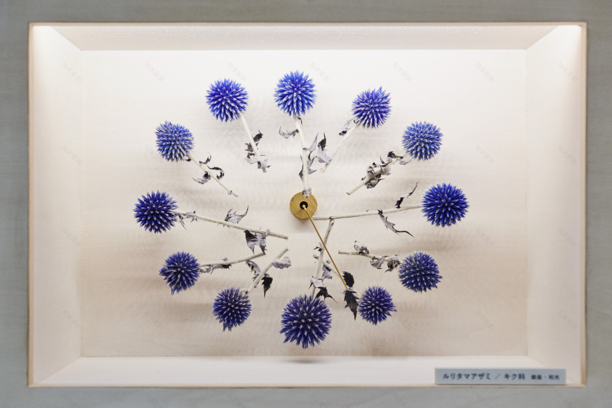 银座生态地图丨JapanTokyo丨Hakuten Corporation-33