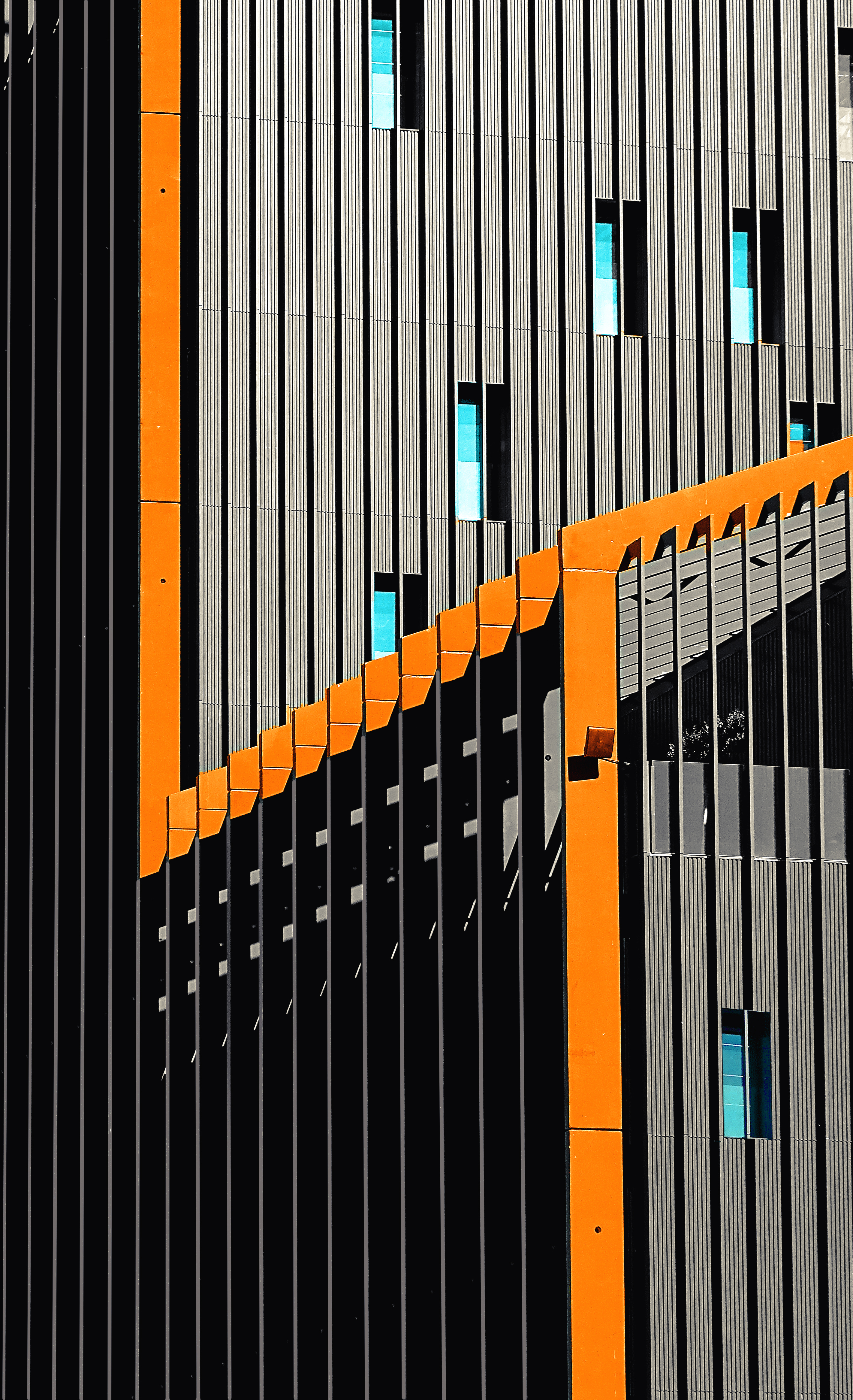 《豪勇七蛟龙》丨西班牙马德里-13