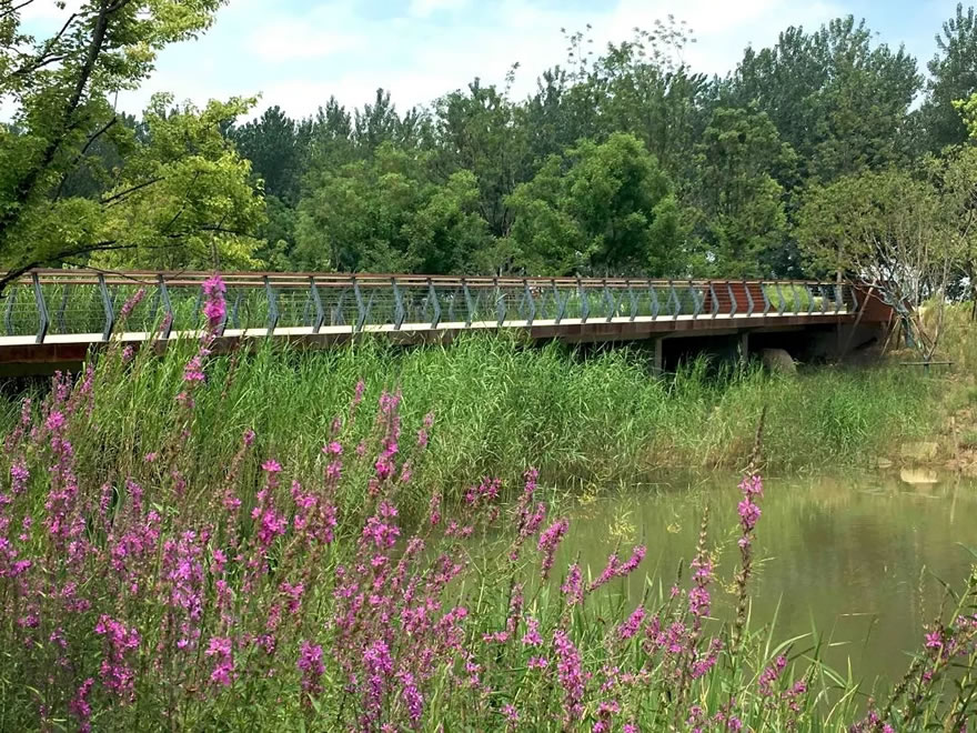 新加坡·南京生态科技岛滨江风光带(大江侧)示范区景观设计项目-19