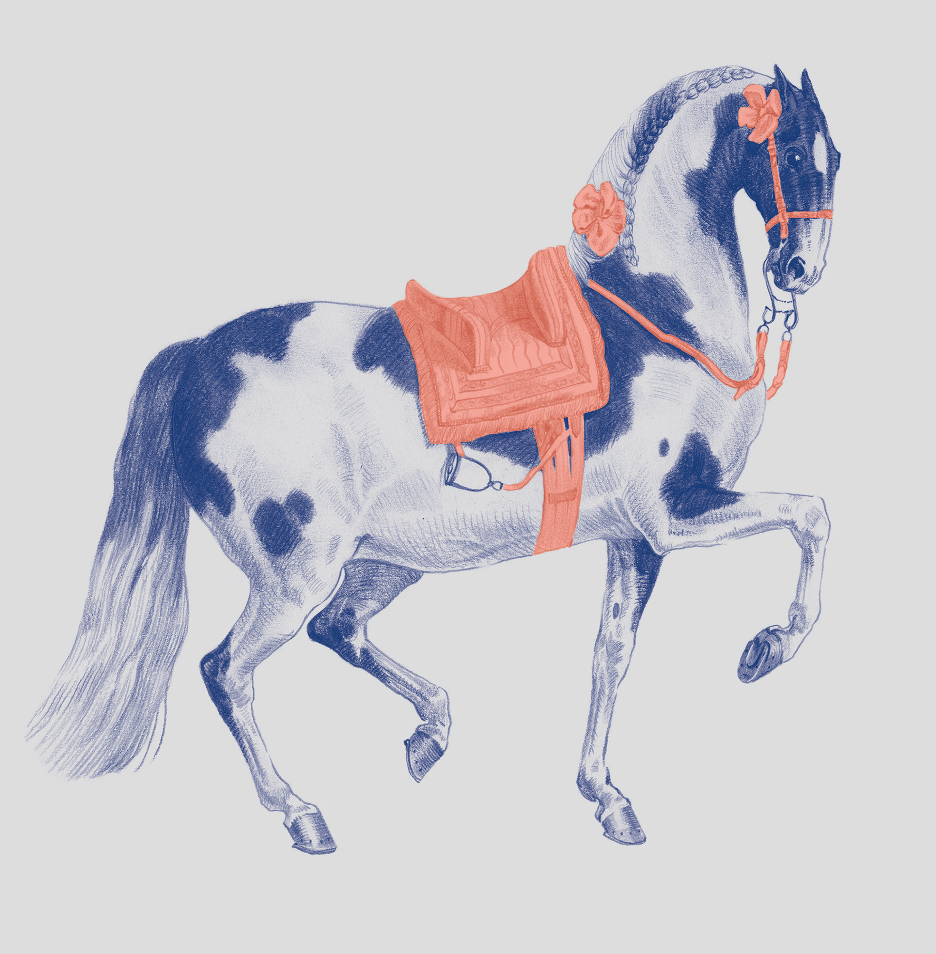 Lusitano. Hand drawn wallpaper design-4