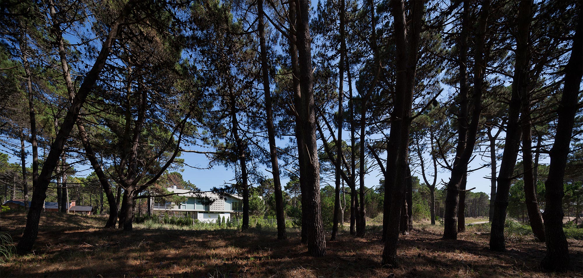 悬浮森林中的宁静家园-20