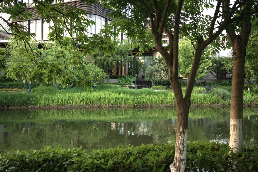 海威·安铂中心景观示范区丨中国杭州丨新加坡 JTL Studio 景观设计事务所-40
