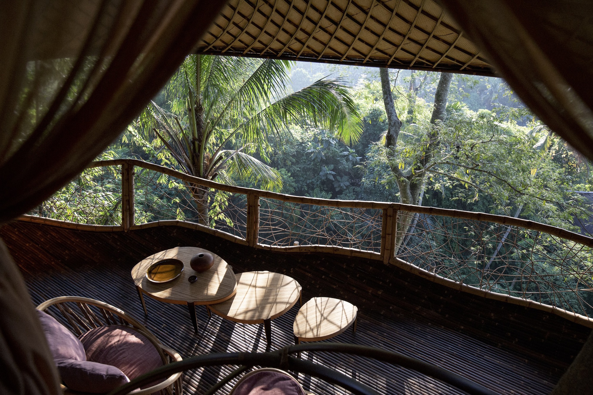 班布英达的树屋丨印度丨IBUKU-21