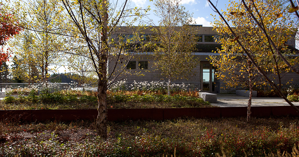 阿卡迪亚庄园-11