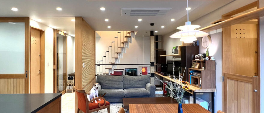 住吉山手の家(犬と猫と音楽の家)丨日本兵库丨ファウナ・プラス・デザイン一級建築士事務所-1