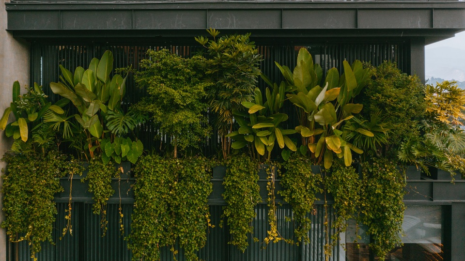 哥伦比亚麦德林 GP 大楼，交叠体量打造内部花园-23