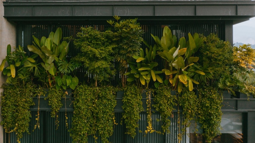 哥伦比亚麦德林 GP 大楼,交叠体量打造内部花园-23