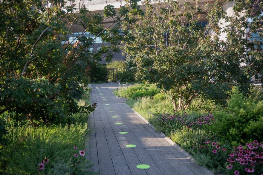 纽约高线公园重新开放-4