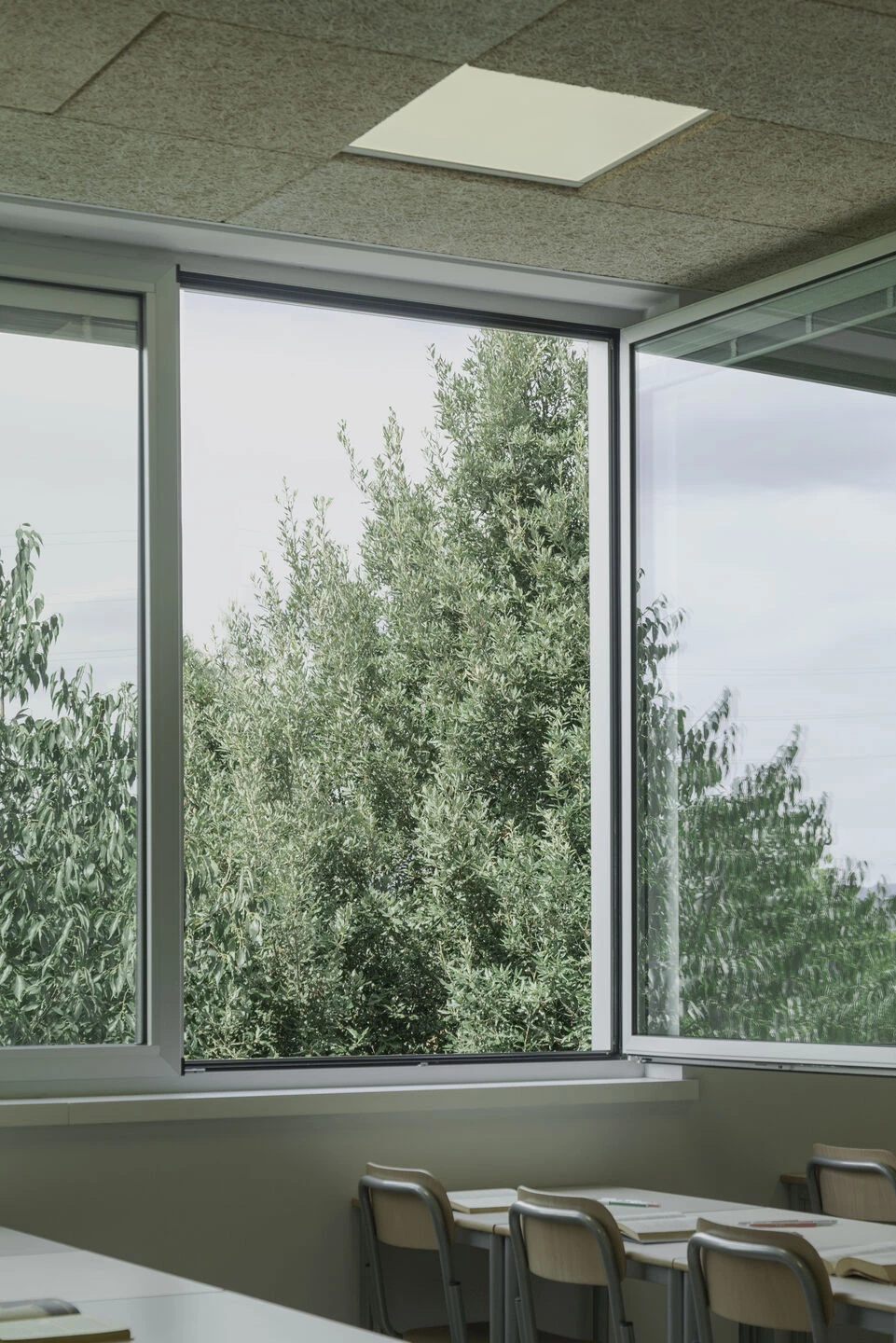 San Giusto 高中丨意大利丨Colucci&Partners-11