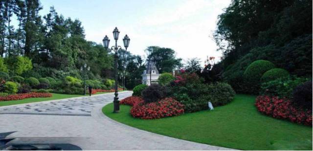 绿化设计中的地被放线手法与植物配置-131