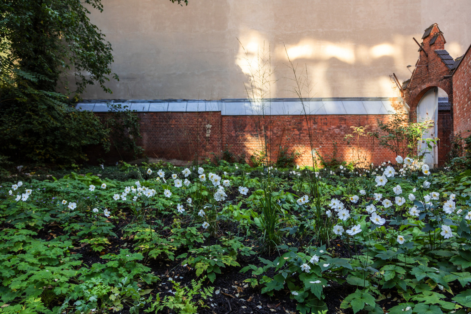 威尔米娜·柏林酒店丨德国柏林丨格朗图赫·恩斯特建筑师事务所-11