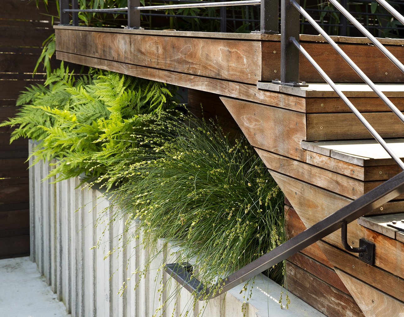 Noe Valley Ⅱ住宅,旧金山 / Feldman Architecture-16