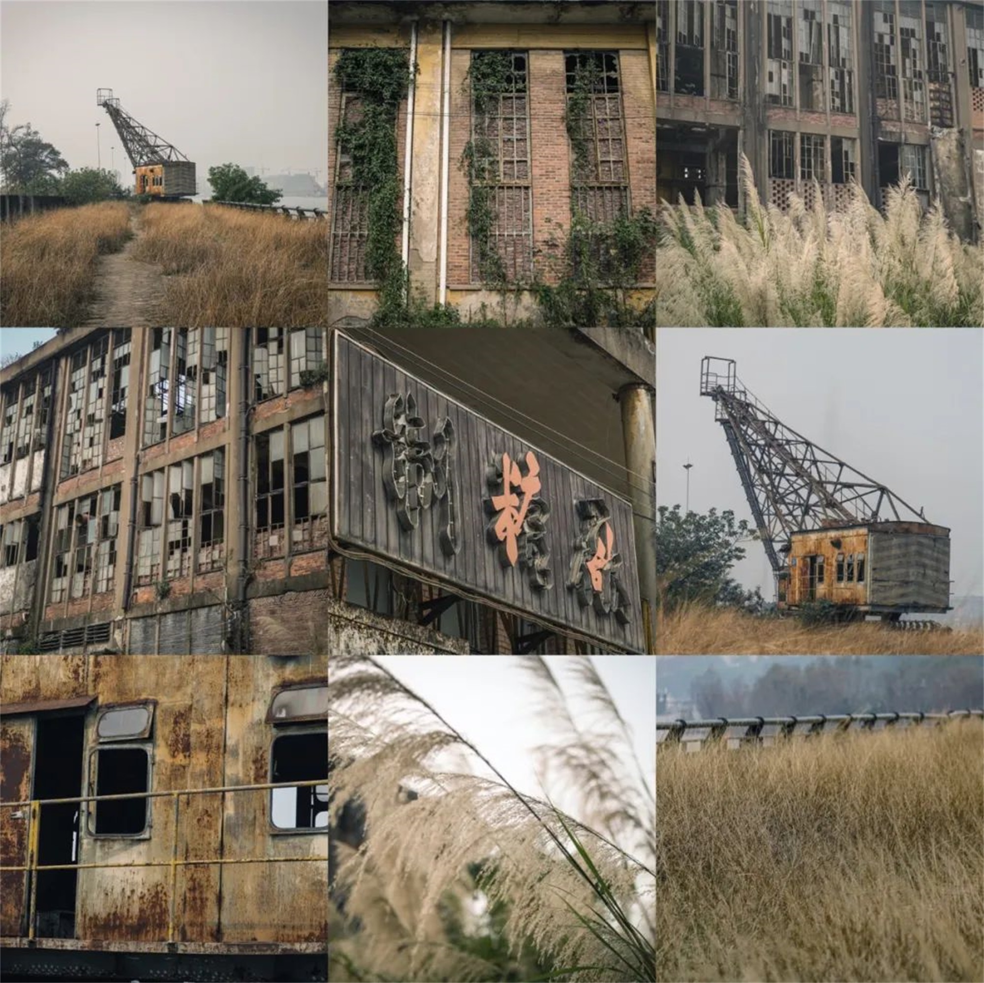 粤海江门甘化滨江艺术公园丨中国江门丨BOX盒子实践景观事务所,深圳成行建筑设计有限公司等-11