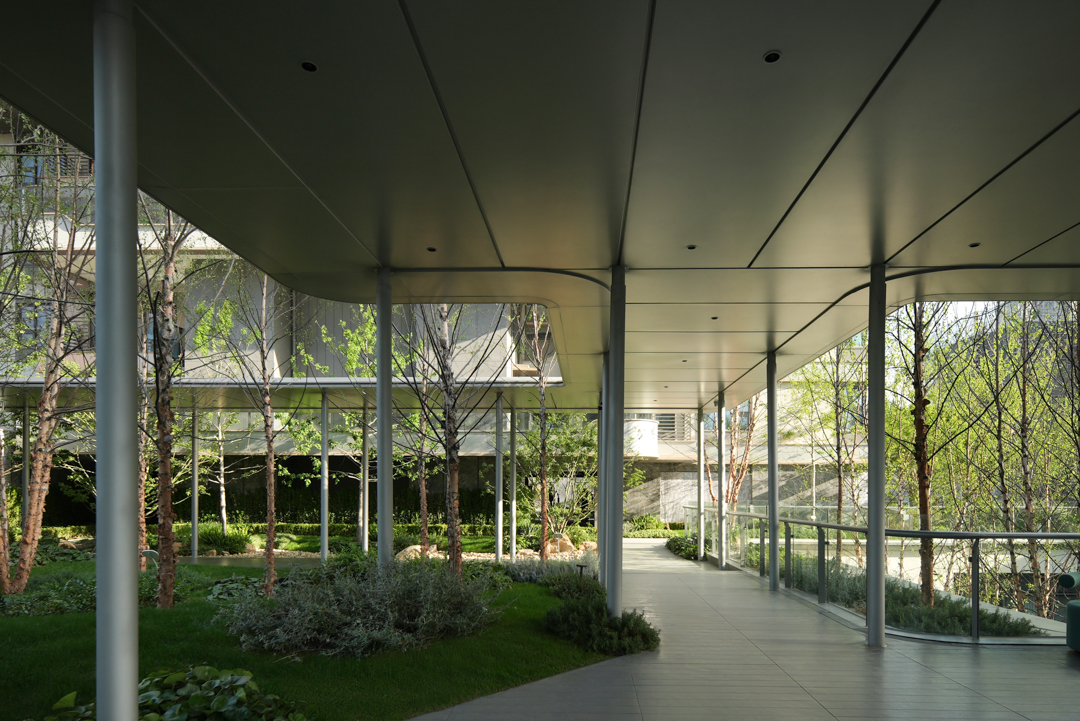 苏州蠡棠森屿-在苏州城市注脚下，种上一片森林丨中国苏州丨MIND  迈德景观-31