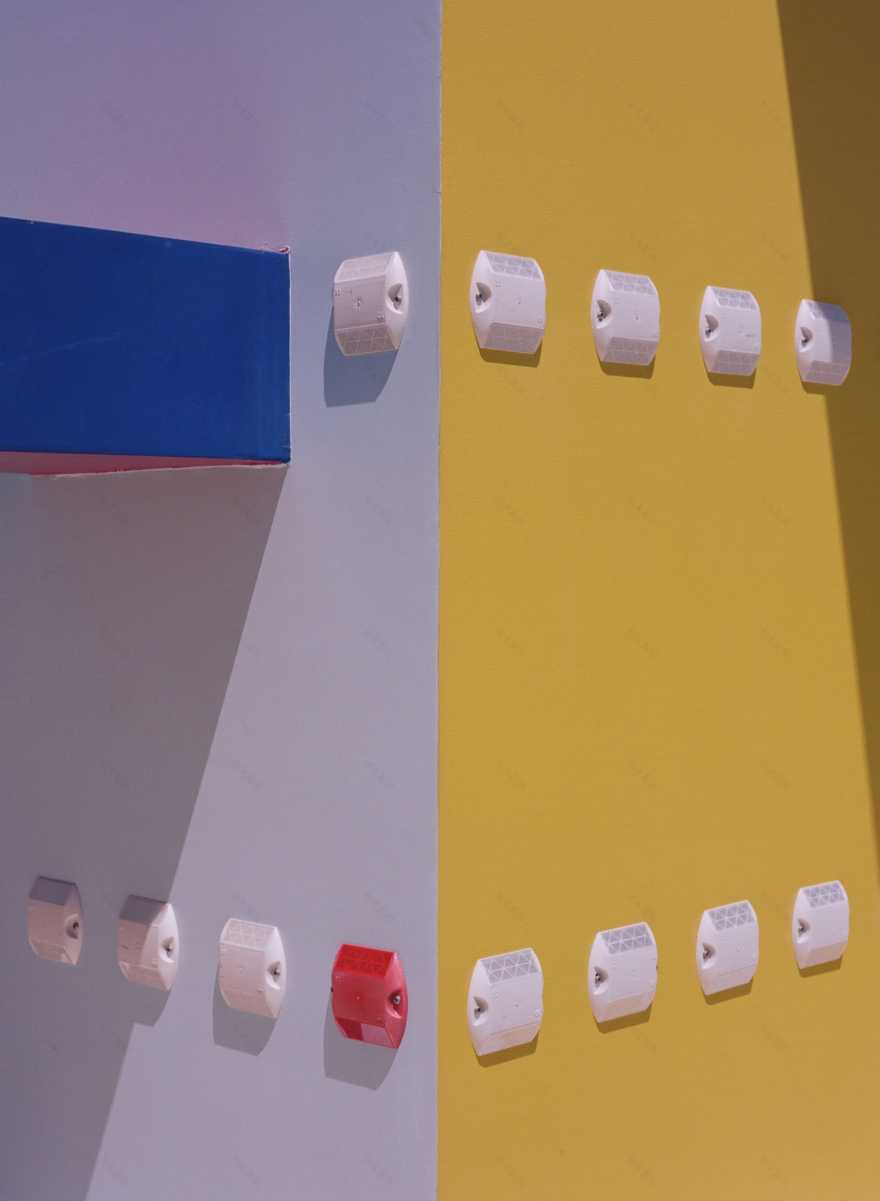 巨大仙人掌,科瓦奇办公室-41