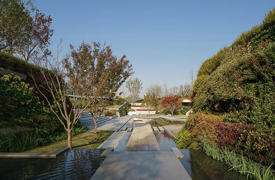 第十三届中国（徐州）国际园林博览会上海展园丨中国徐州丨上海市园林设计研究总院有限公司-52