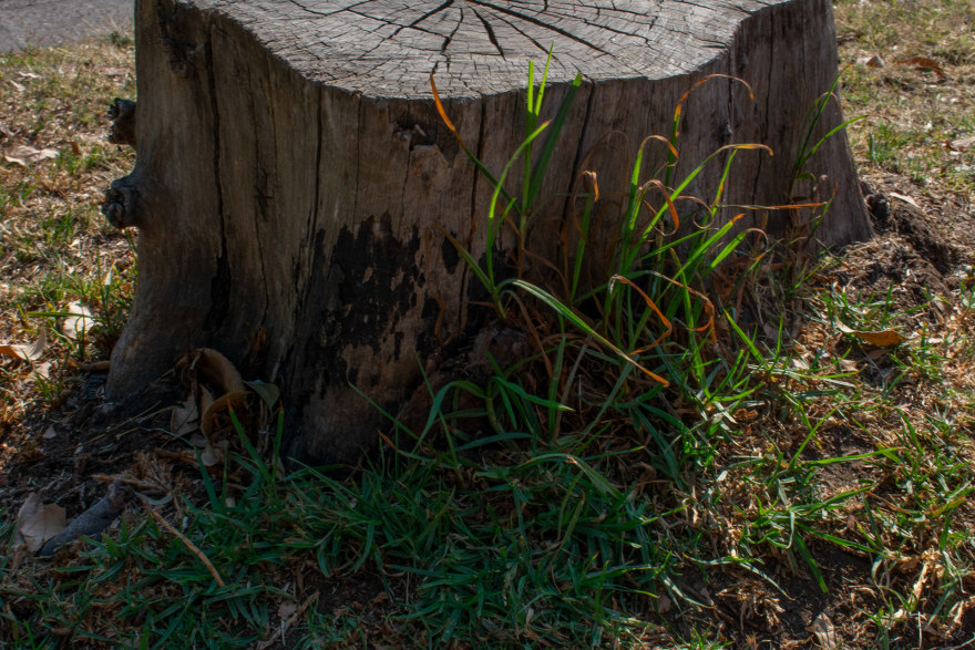 Tocón 建筑模型-10