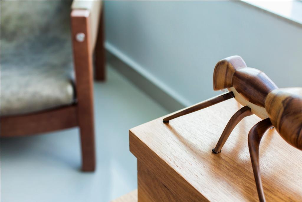 巴西中部顶层公寓，城市景观尽收眼底-13