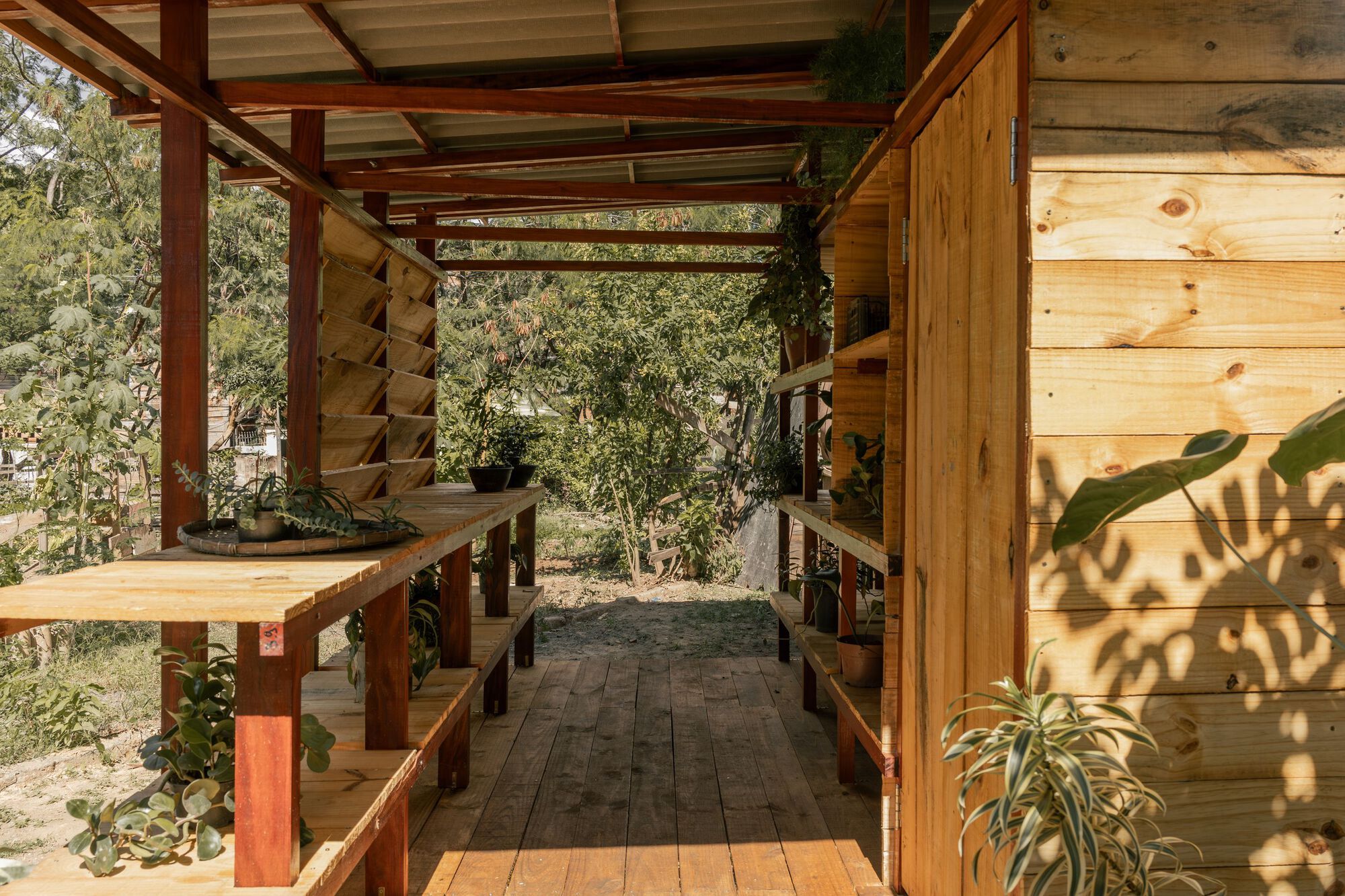 生态箱种子屋丨巴西丨PFLEX  Escola de Arquitetura  UFMG-29