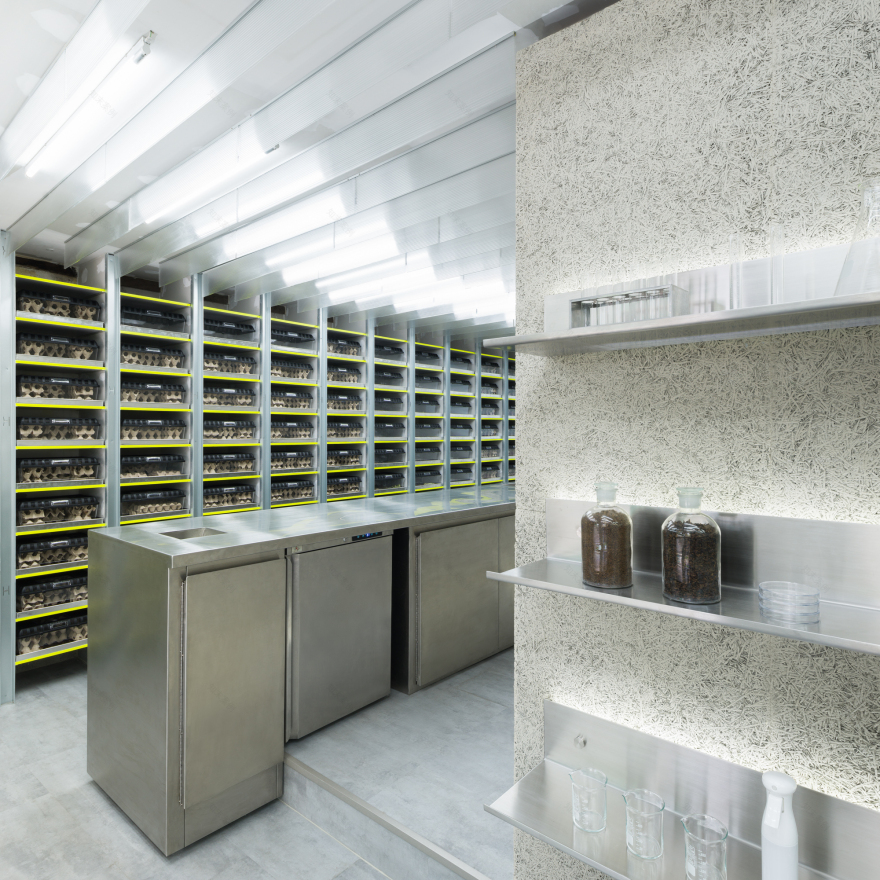 Exofood Retail and Lab / space+craft-39