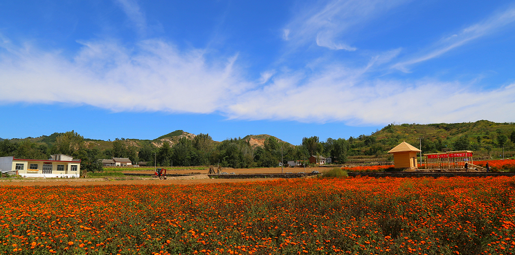 秦岭经典多娇“江山”(院庆征文)-25