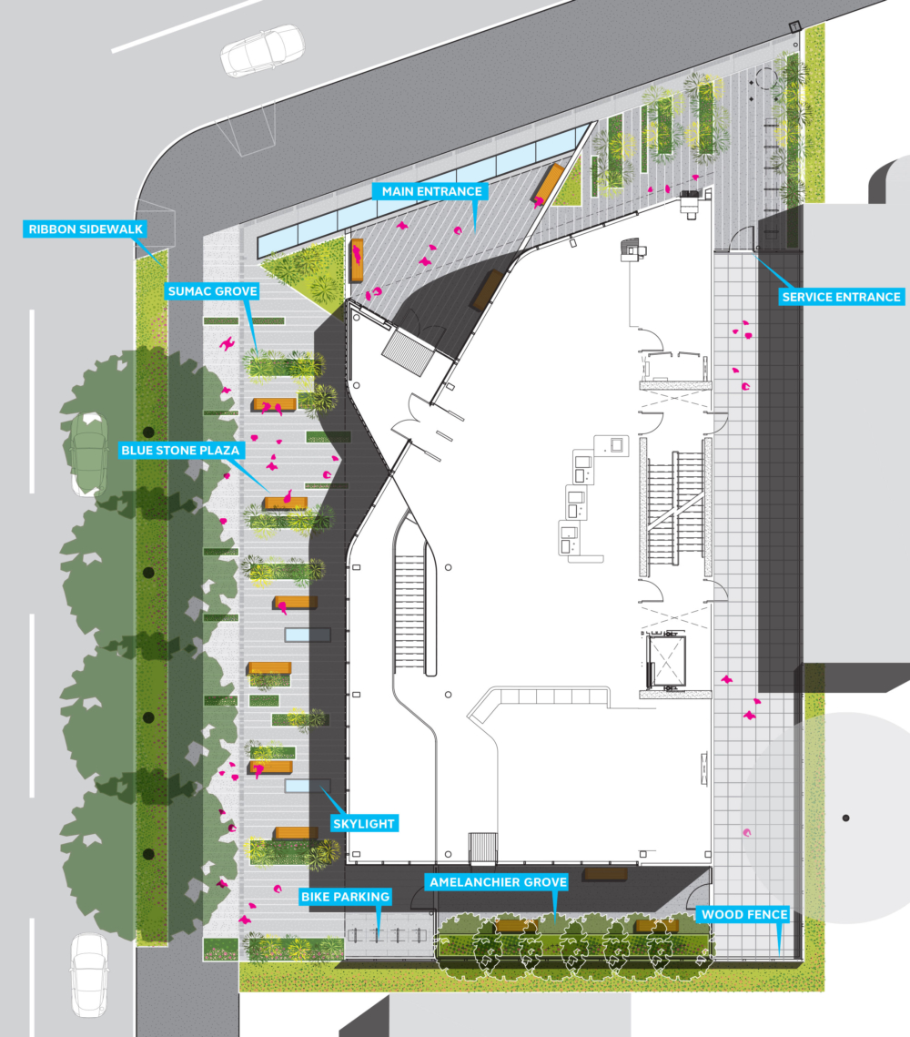 
          Glen Oaks Branch Library - SCAPE      -2