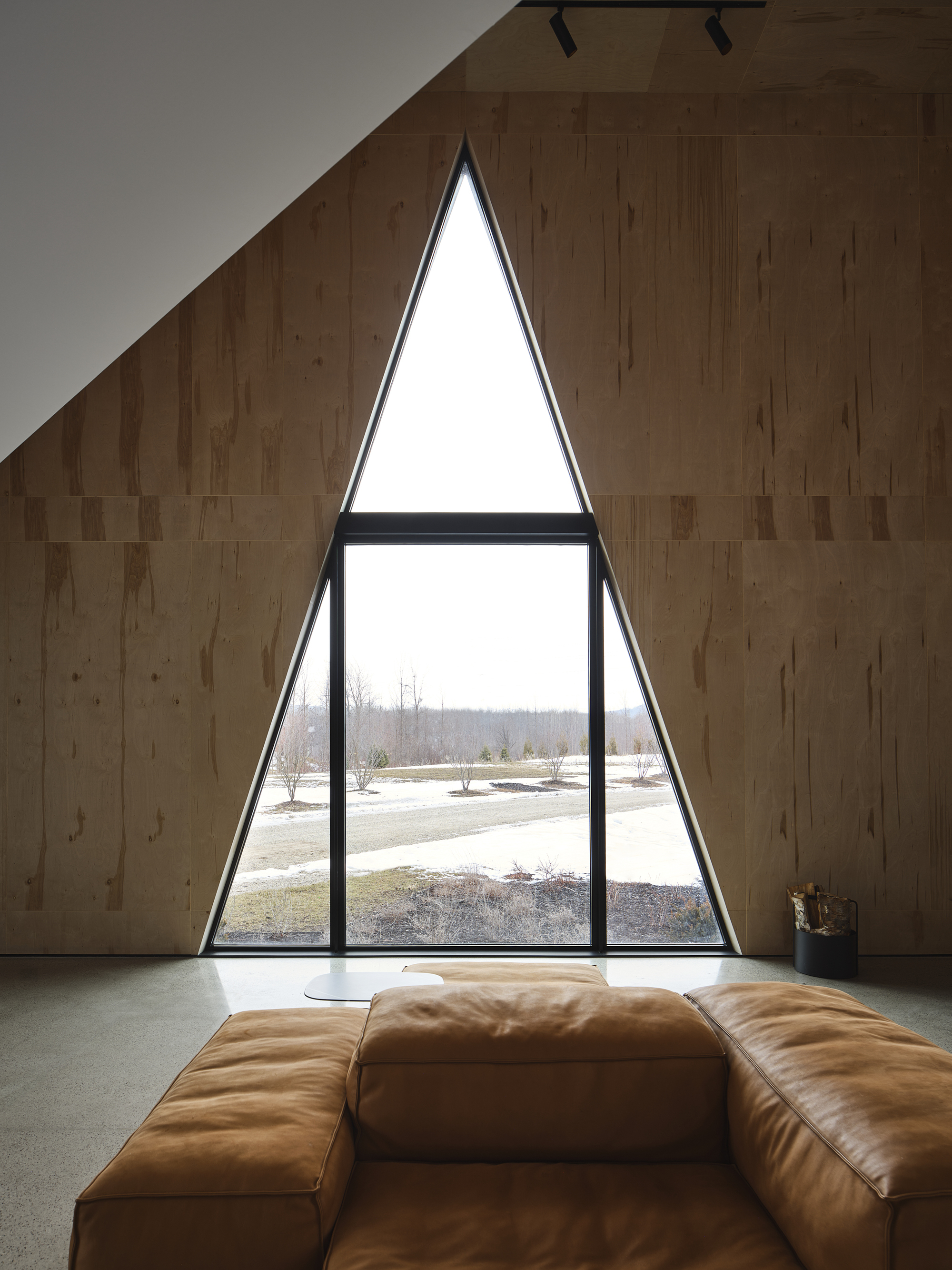 猫科滑雪小屋丨加拿大丨Atelier RZLBD-16