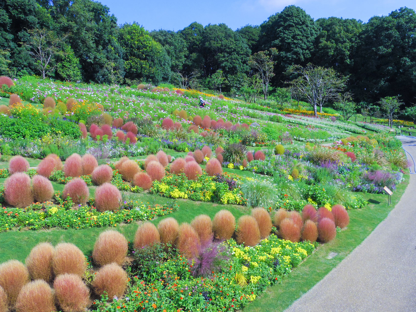 日本里山花园丨户田芳树风景计画-29