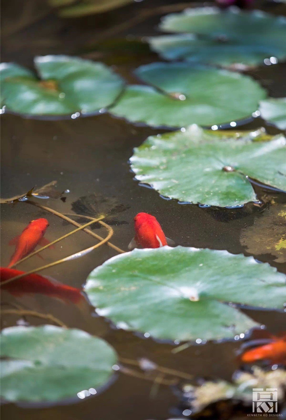 620㎡桂林水印长廊酒店度假別墅  高文安设计公司-23