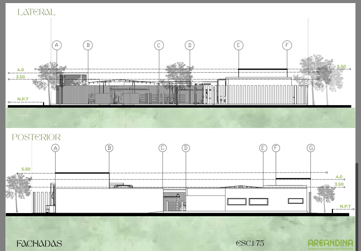 Proyecto centro agropecuarios de beneficio cárnico-6
