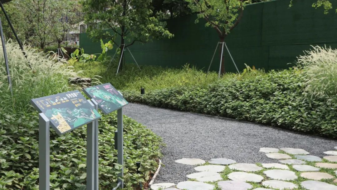 紫涧园（郊野径入口）景观设计丨东大（深圳）设计有限公司,AECOM-73